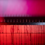 Blood & Money Art exhibition Blood & Money Art exhibition